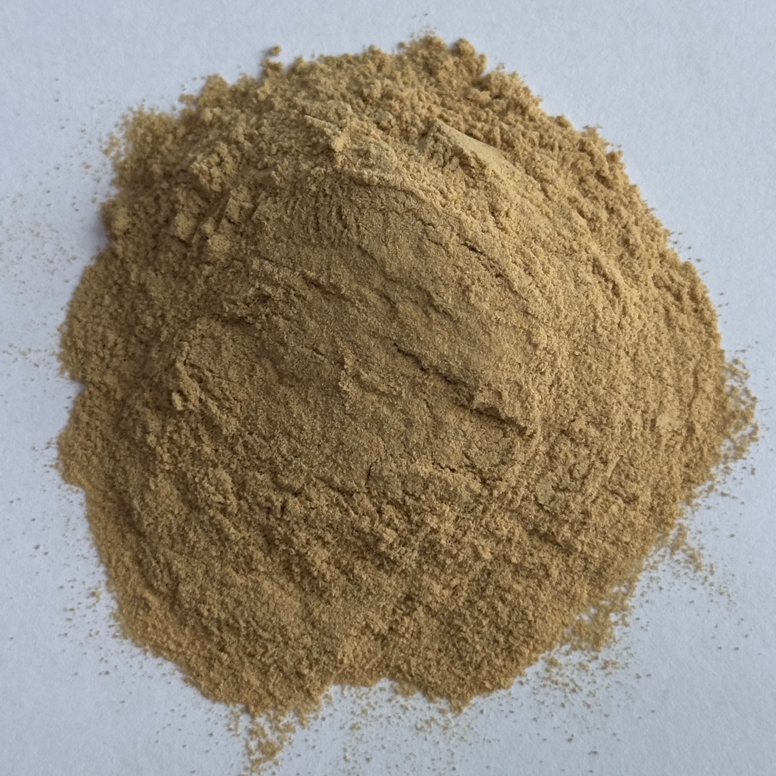 ProXM（2）.jpg